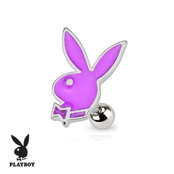 PLAYBOY Cartilage Barbell - Image 3