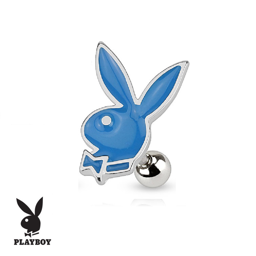 PLAYBOY Cartilage Barbell - Image 4