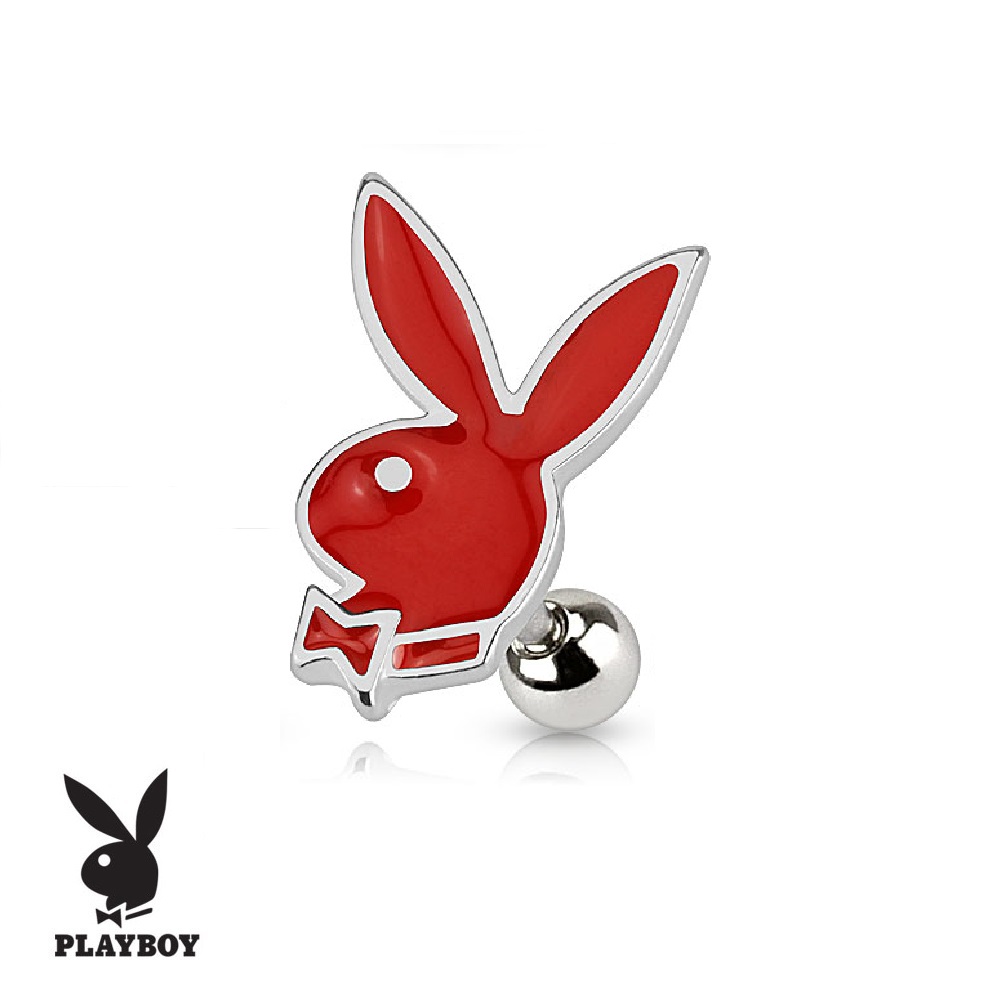 PLAYBOY Cartilage Barbell - Image 6