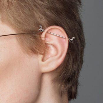 Unicorn Ends Industrial Barbell - Image 2