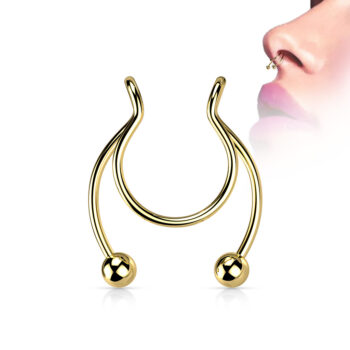 Fake Horseshoe Septum - Image 5