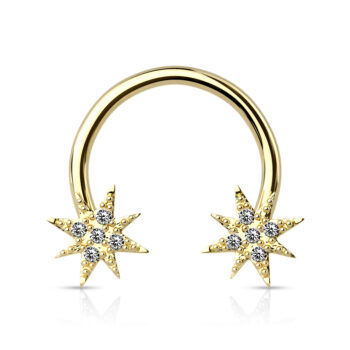 Horseshoe with CZ Star Ends - Image 3