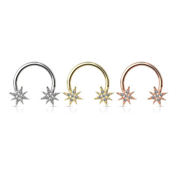 Horseshoe with CZ Star Ends