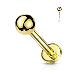 Gold Labret with a Threadless Push in Top Ball