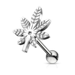 Leaf Cartilage Barbell