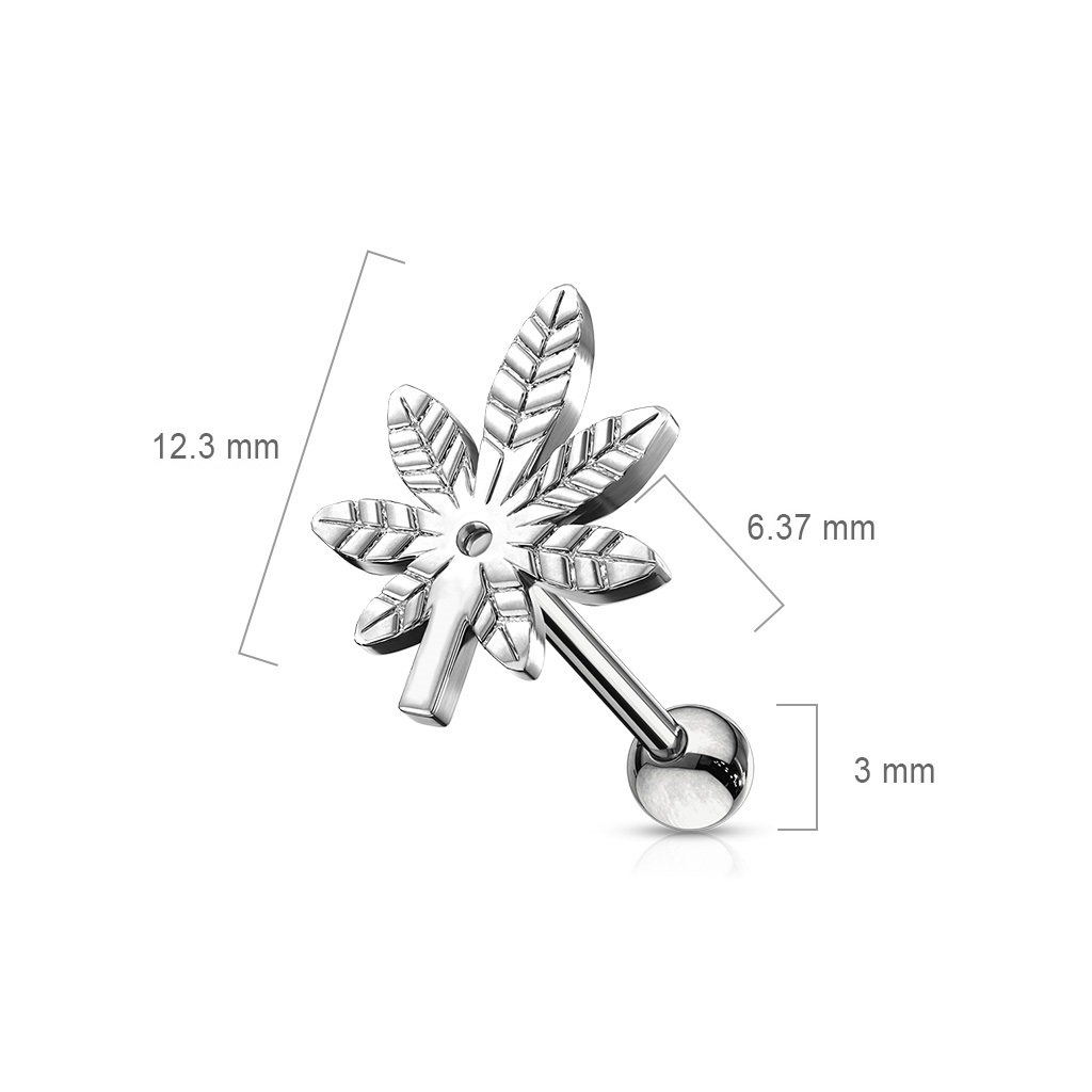 Leaf Cartilage Barbell - Image 2