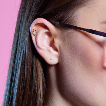 Leaf Cartilage Barbell - Image 3