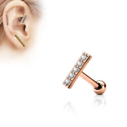 Cartilage Barbell with a 9mm Clear CZ Long Bar Top