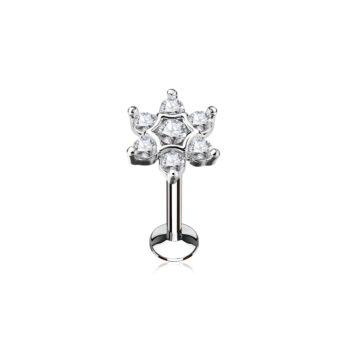 Labret with Clear Star
