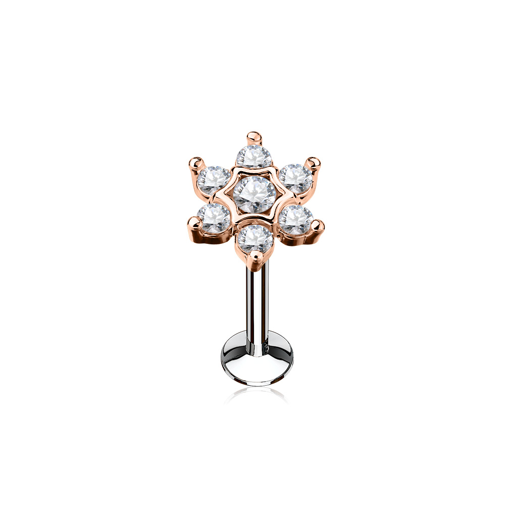 Rose Gold Labret with Clear Star