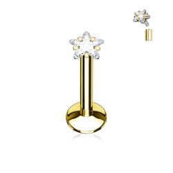 Gold Labret with a Clear 3mm Star