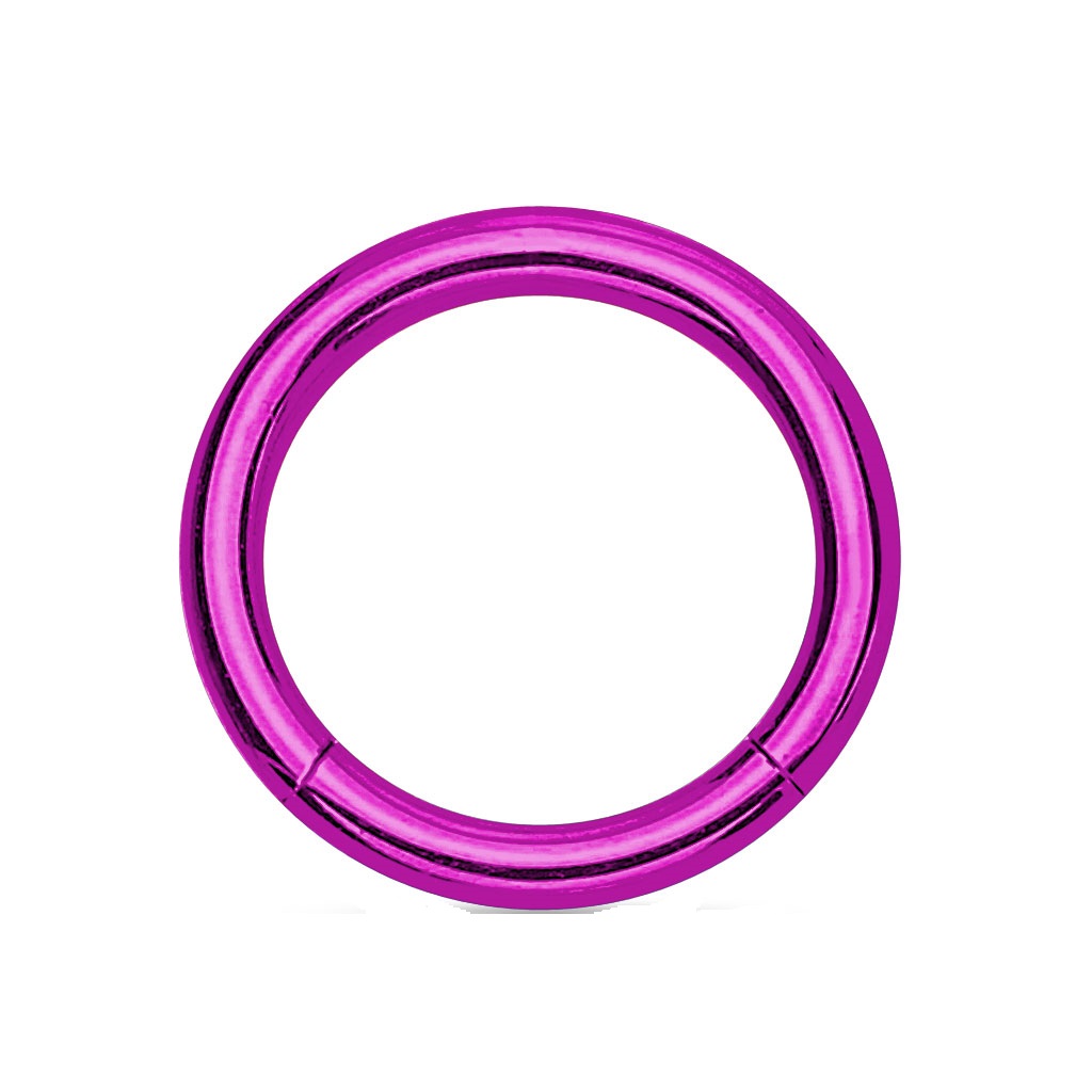 Purple Hinged Segment Ring - Image 4