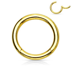 Gold Hinged Segment Ring