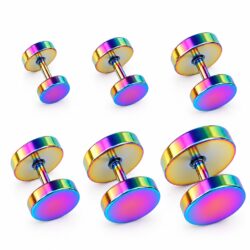 Rainbow Fake Plug Earring