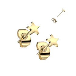 Gold Titanium Star Earring Studs