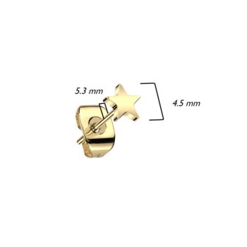 Gold Titanium Star Earring Studs - Image 3