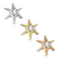 Dermal Head with a Clear Star