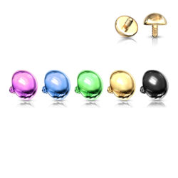Colored Domed Dermal Head