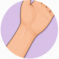 Wrist