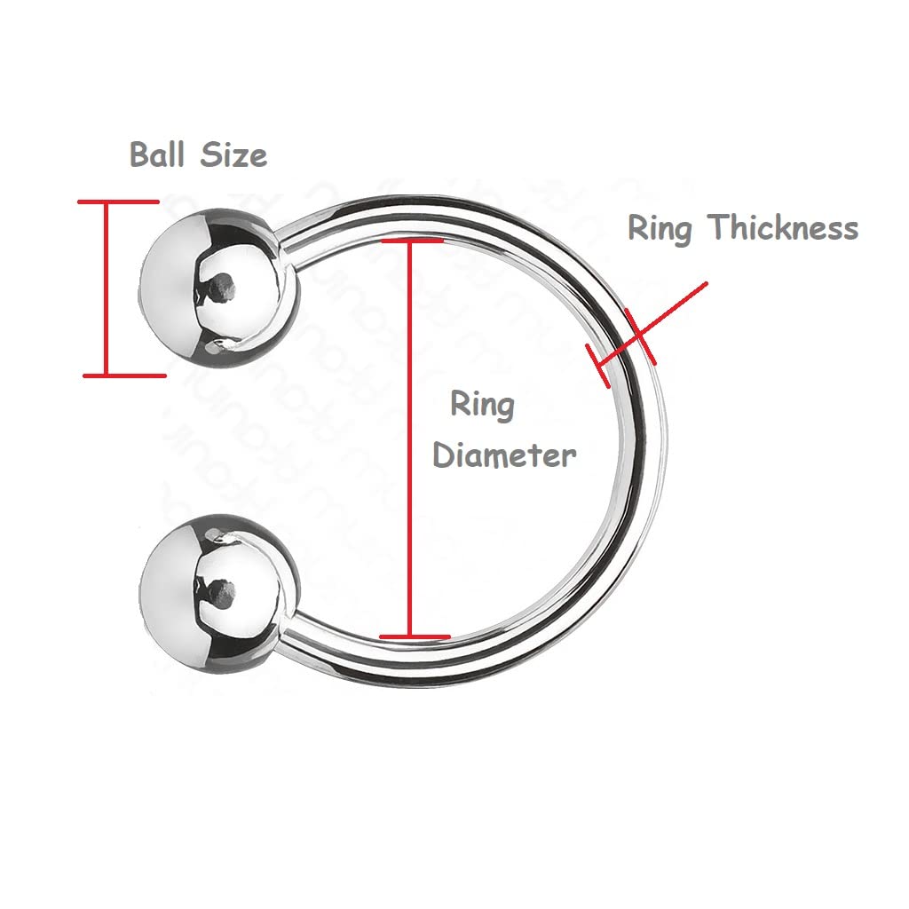 Titanium Horseshoe Barbell - Image 3