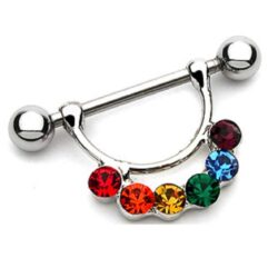 Nipple Shield with a Rainbow Dangle