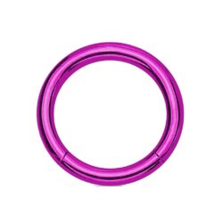 Purple Titanium Hinged Segment Ring