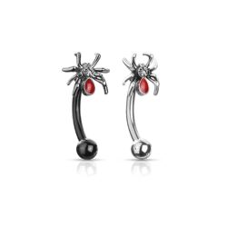 Curved Barbell with a Spider Head