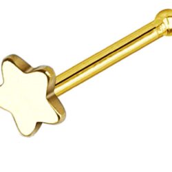 Star Top Nose Stud