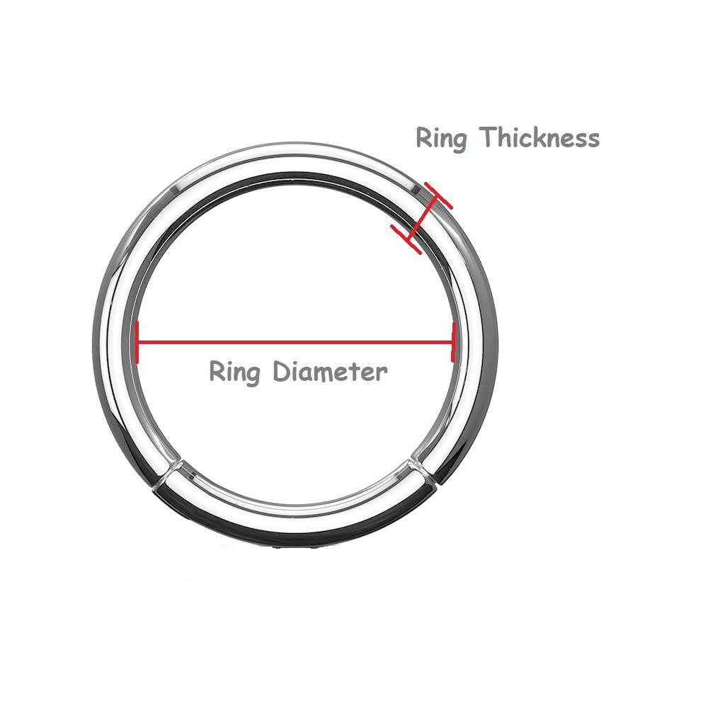 Titanium Hinged Segment Ring - Image 4