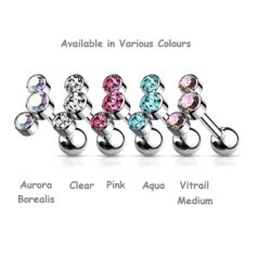 Titanium Cartilage Barbell with Austrian Crystal Top